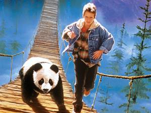    The Amazing Panda Adventure