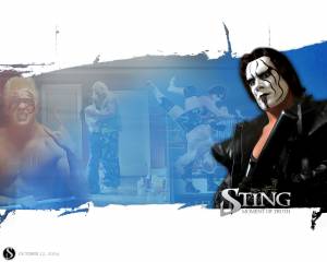    :  , , Sting: Moment of Truth