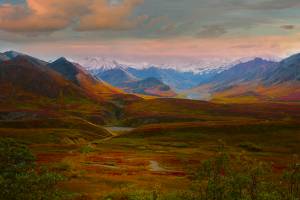    alaska, the variety of colors among alaskan's tundra, denali national park
